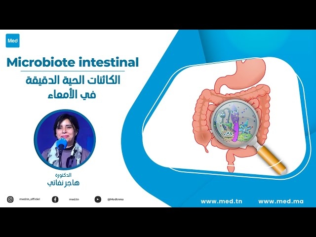 Video Microbiote intestinal 