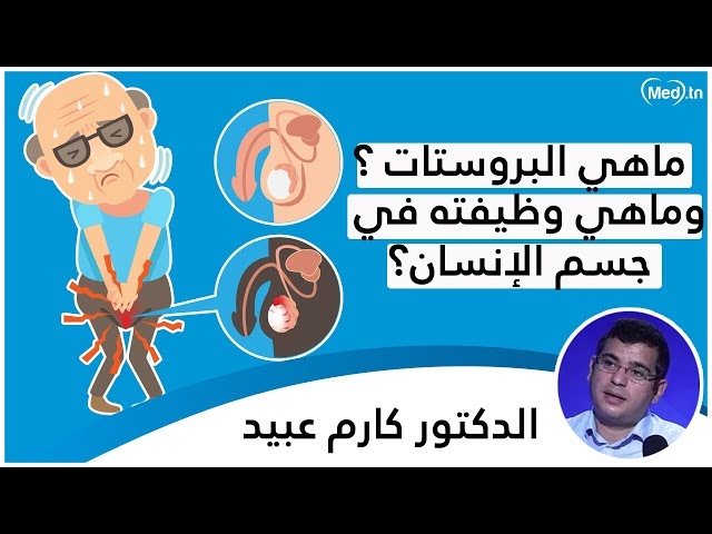 فيديو Prostate et cancer de prostate 