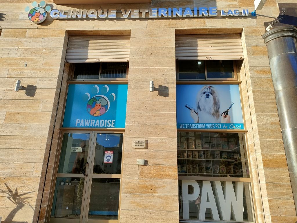 Kilani pet clinic on sale