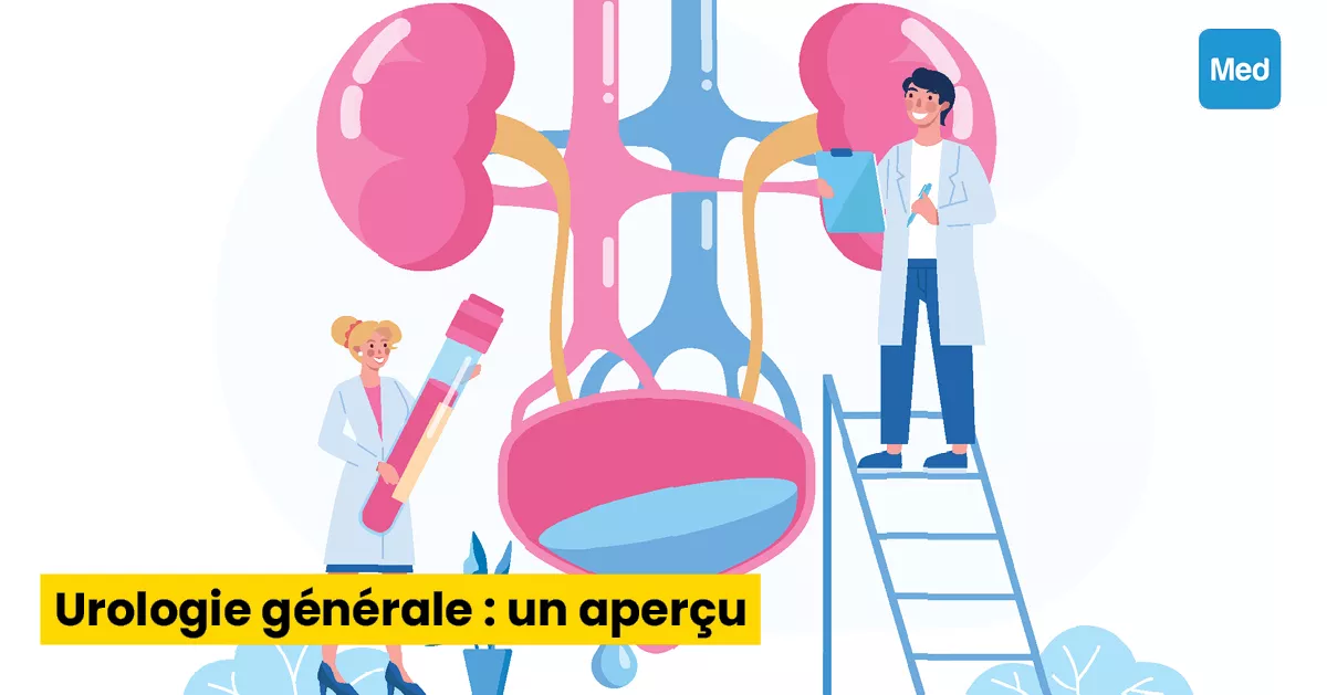 Urologie générale : un aperçu