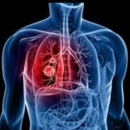 Dr Hajji Kamal أخصائي الأمراض الرئوية