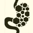 Dr FIRWANA Mohammed Gastro-entérologue