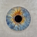 Dr Zakoun Mariam Ophthalmologist