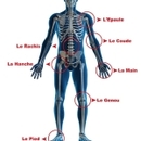 Dr Omar Hadad Chirurgien Orthopédiste Traumatologue