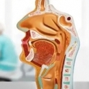 الدكتور صباح حسن أخصائي أمراض الأنف والأذن والحنجرة