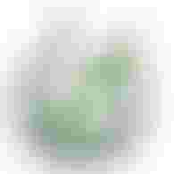 Dr Laboratoire d