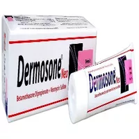 DERMOSONE NEOMYCINE Crème Derm. Tb 15gr
