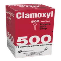 CLAMOXYL 500mg Gél. Bt 12