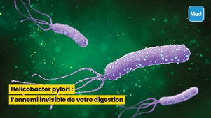 Helicobacter pylori : l'ennemi invisible de votre digestion