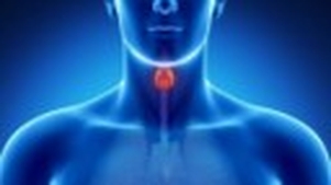 L'Hypothyroïdie : Comprendre et Gérer une Pathologie Fréquente