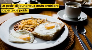 Magazine Le petit-déjeuner aux œufs améliore la perte de poids