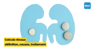 Magazine Calculs rénaux : définition, causes, traitement