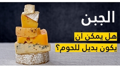الجبن ،هل يمكن أن يكون بديل للحوم؟