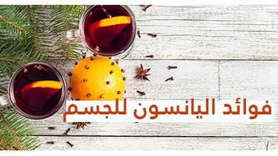 فوائد اليانسون