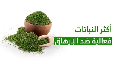 أكثر النباتات فعالية ضد الإرهاق