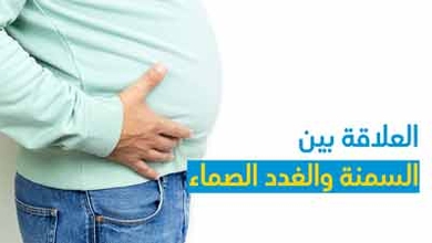 العلاقة بين السمنة والغدد الصماء
