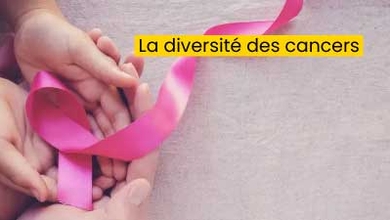 La diversité des cancers