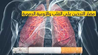 مضار التدخين على القلب والأوعية الدموية