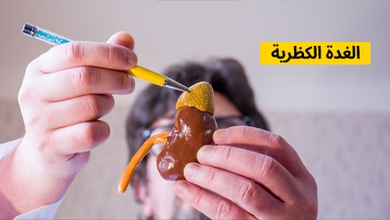 الغدة الكظرية