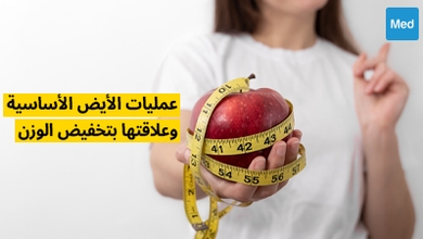 عمليات الأيض الأساسية وعلاقتها بتخفيض الوزن
