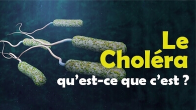 Le Choléra qu’est-ce que c’est ?