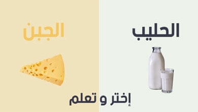 فوائد الحليب و الجبن
