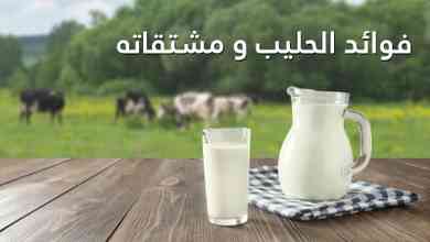 فوائد الحليب و مشتقاته