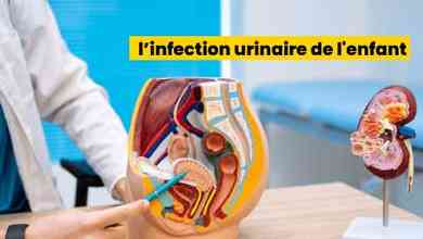 l’infection urinaire de l