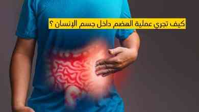 كيف تجري عملية الهضم داخل جسم الإنسان ؟ 