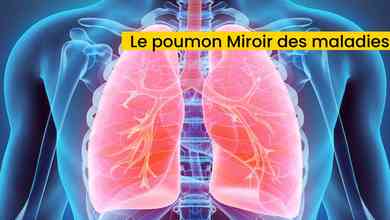 Le poumon Miroir des maladies