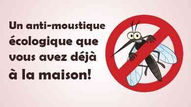 Un anti-moustique écologique que vous avez déjà à la maison!
