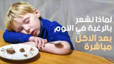 لماذا نشعر بالرغبة في النوم بعد الأكل مباشرة ؟ 