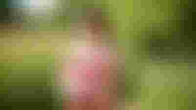 نصائح للحفاظ على سلامة المرأة الحامل في الصيف 