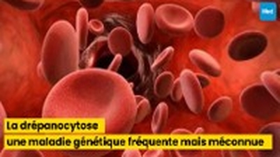 La drépanocytose : une maladie génétique fréquente mais méconnue