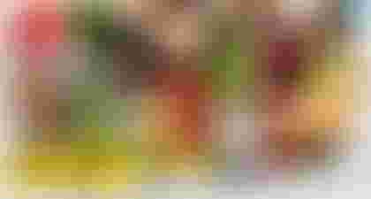 Rôle des Carences Vitaminées dans l'Infertilité