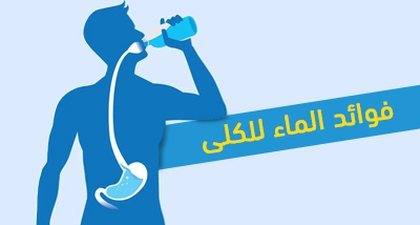 فوائد الماء للكلى