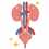 Dr Redouane Achour Urologue