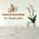 Dr Houda JABRI Dermatologue