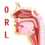 Dr Rym Gaffour Otolaryngologist (ENT)