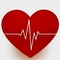 Dr Salma SQUALLI HOUSSAINI Cardiologist