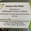 Dr Olfa FENDI Diabetologist
