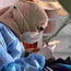 Dr Wafa BOUSLAMA Médecin dentiste