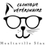 Dr Tarak ELLOUZE Veterinarian