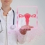 Dr Mountasser EL BOUZIDI Gynécologue Obstétricien