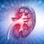 Dr Wassim MISSOUM Nephrologist