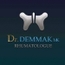 Dr Mohamed karim DEMMAK Rhumatologue
