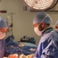 Dr Mahmoud JARGHON Vascular surgeon