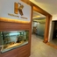   the k-therapy center Fizyoterpist