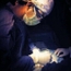 Dr Mehdi ECHAFÎ Pediatric Surgeon