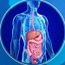Dr El hassan EL HOUSNI Gastroenterolog
